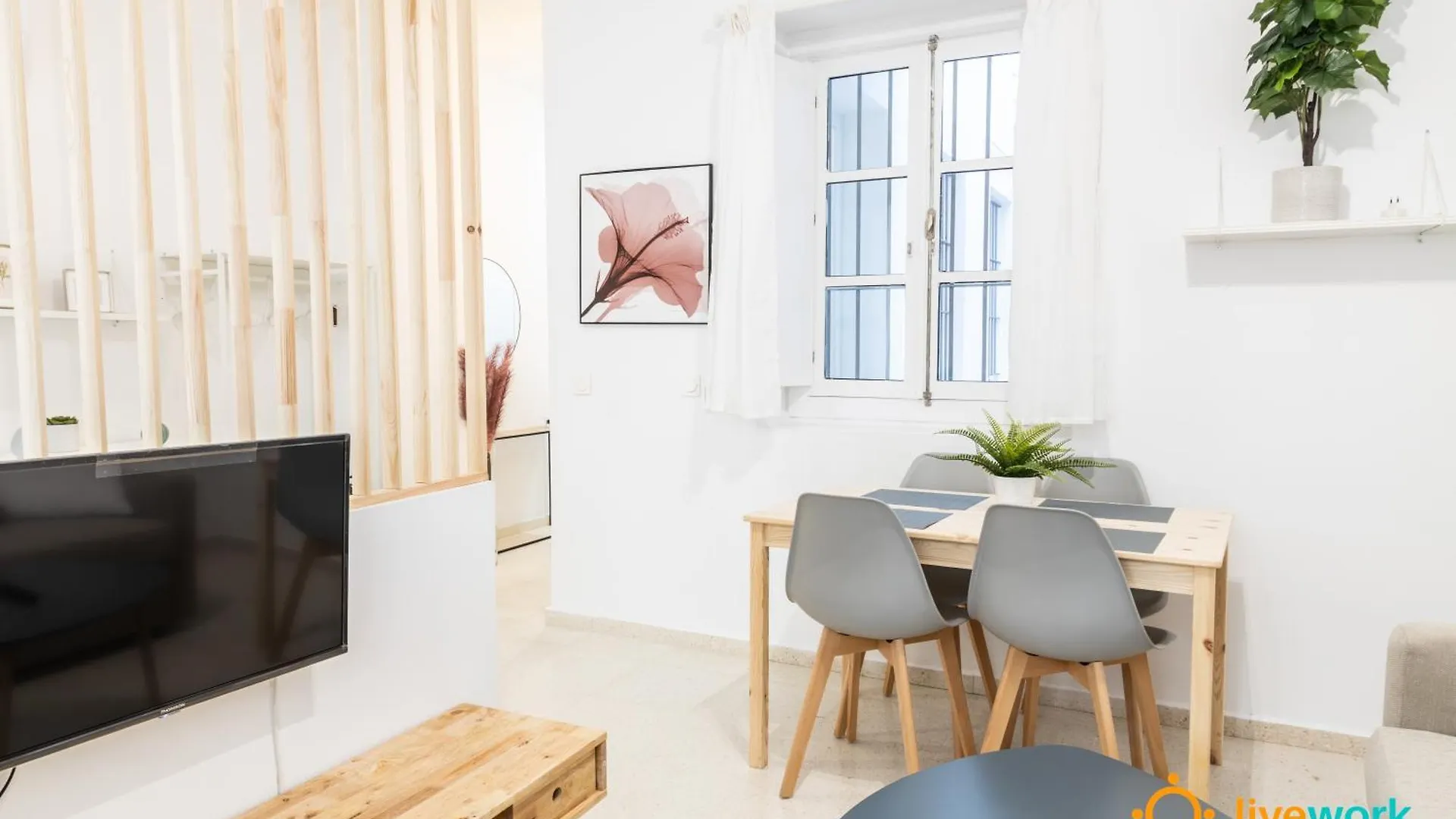 Estudio Palma - WIFI - PETFRIENDLY - ECOFRIENDLY Cádiz